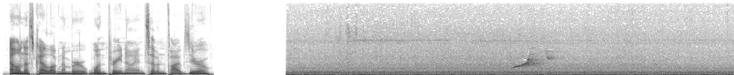 Whistling Dove - ML139750