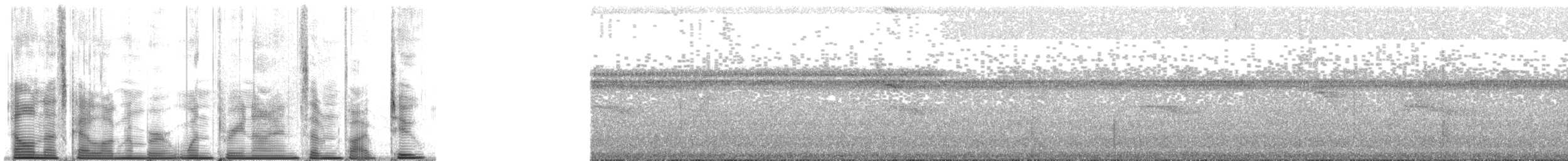 Свистун фіджійський [група vitiensis] - ML139752