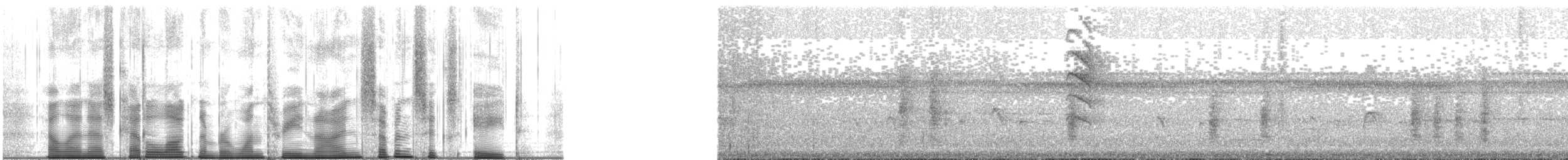 Окулярник фіджійський - ML139768