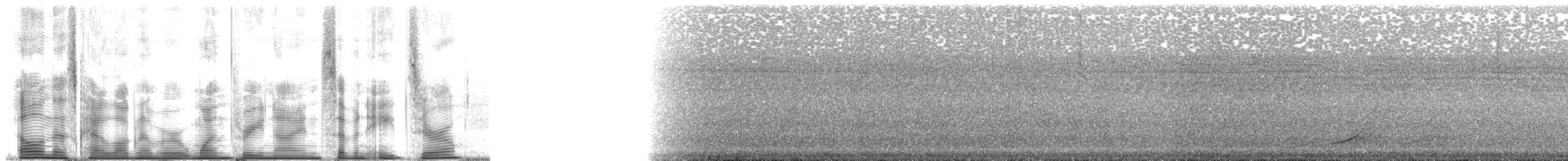 Whistling Dove - ML139780