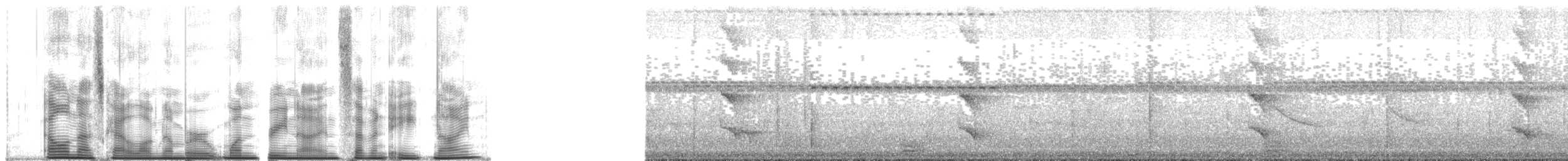Mielero Carunculado de Viti Levu - ML139789
