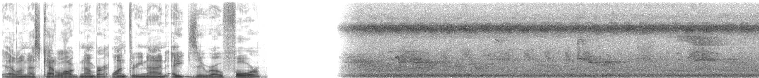 コシジロアナツバメ - ML139804