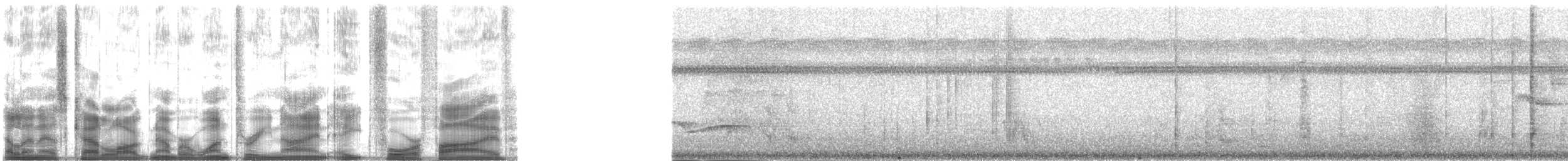 Estornino de Polinesia (grupo tabuensis) - ML139845