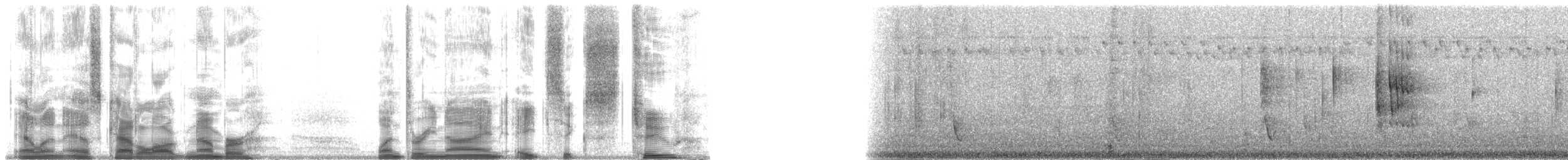 salangana melanéská - ML139862