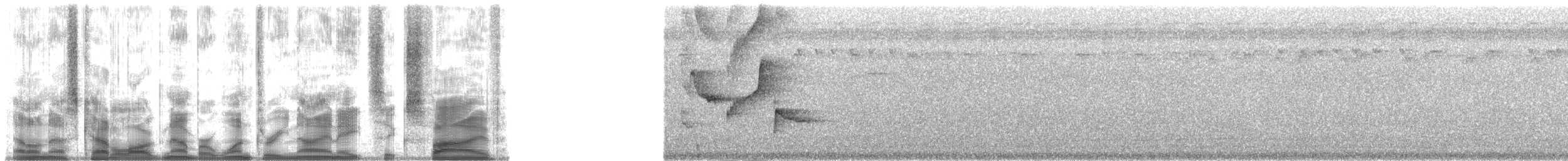 špaček polynéský (ssp. manuae) - ML139865