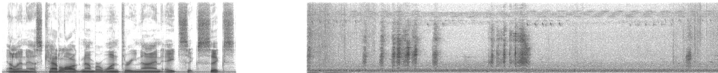 Fidschimonarch (powelli) - ML139866