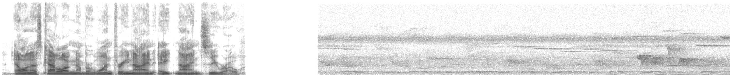 holub tonžský - ML139890