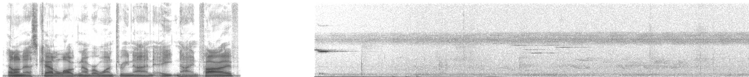 Самоанская веерохвостка - ML139895