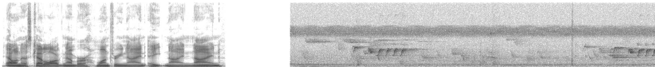 Pazifikscharlachschnäpper - ML139899