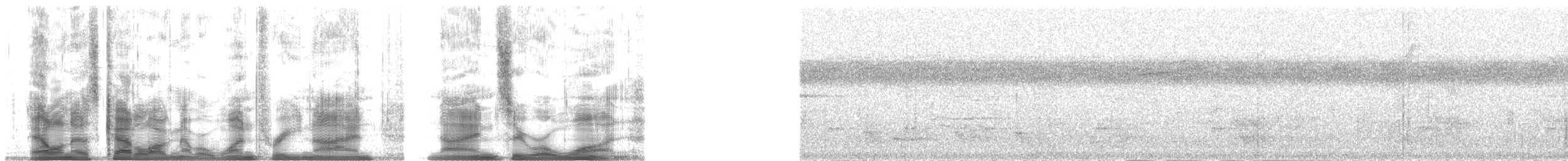 Самоанская веерохвостка - ML139901