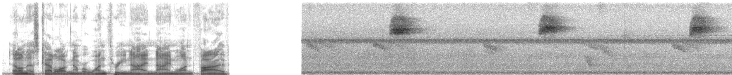 Окулярник савайський - ML139915