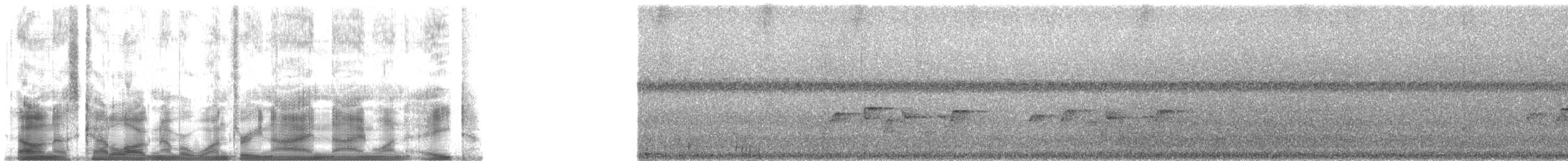Pazifikscharlachschnäpper - ML139918