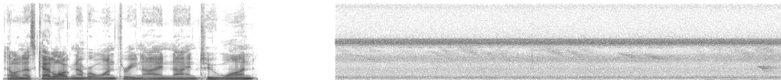 Самоанская белоглазка - ML139921
