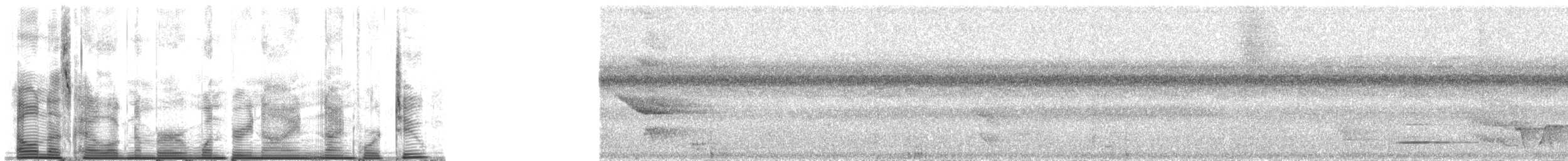 holub pacifický - ML139942