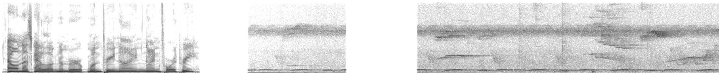 Samoan Triller - ML139943