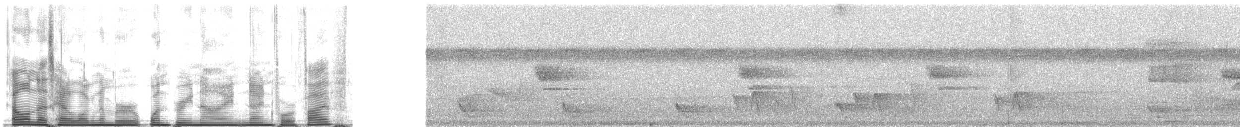 Самоанская веерохвостка - ML139945