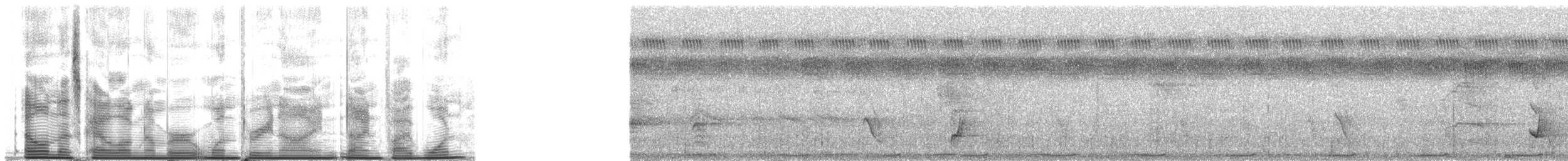 白喉林鴿 - ML139951