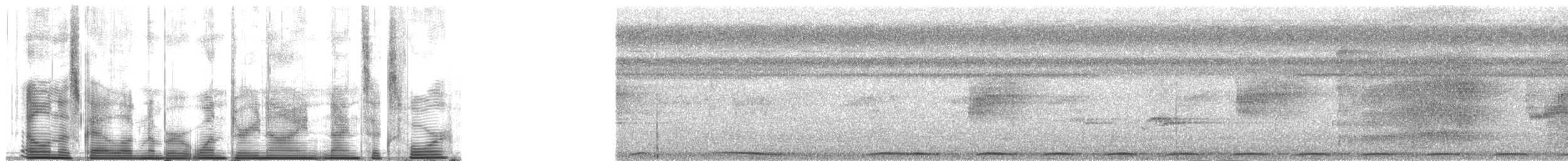 Понпейская миагра - ML139964