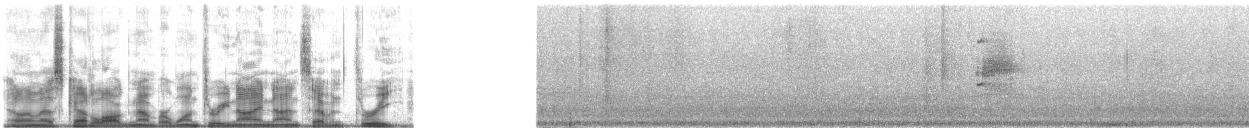 Понпейская веерохвостка - ML139973