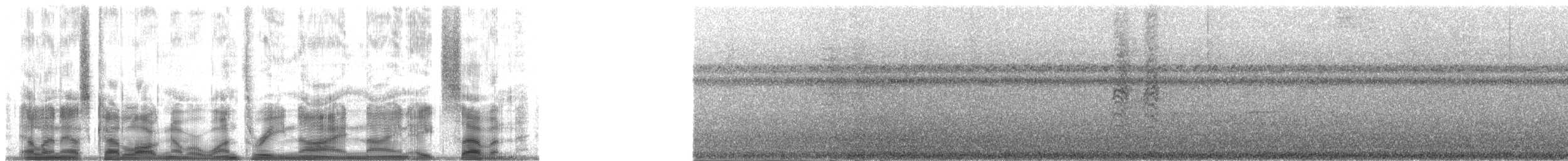 Окулярник каролінський - ML139987