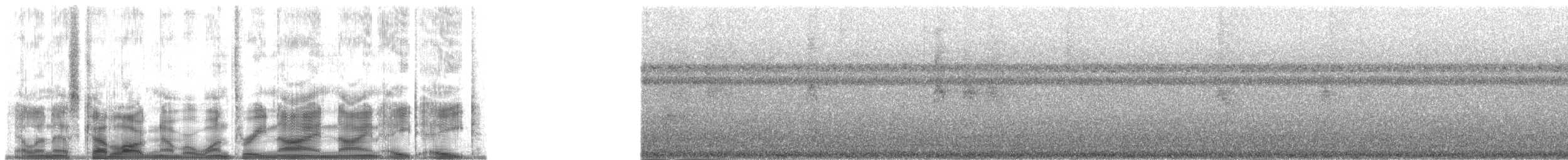 Окулярник погнпейський - ML139988