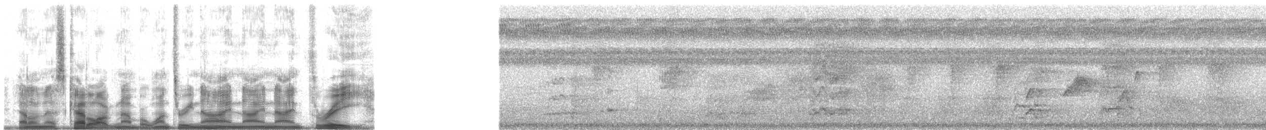 Окулярник погнпейський - ML139993