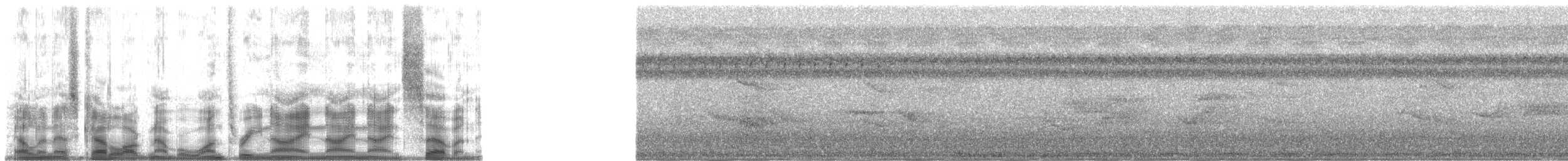 Langschnabel-Brillenvogel - ML139997