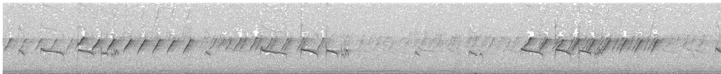 Тиранчик-тонкодзьоб південний - ML140047361