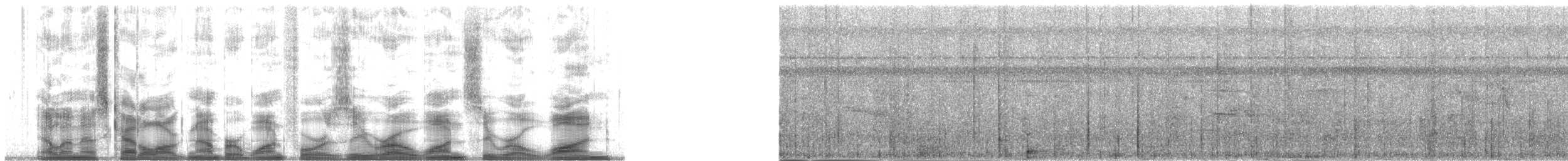 Длинноклювая тахоу - ML140101