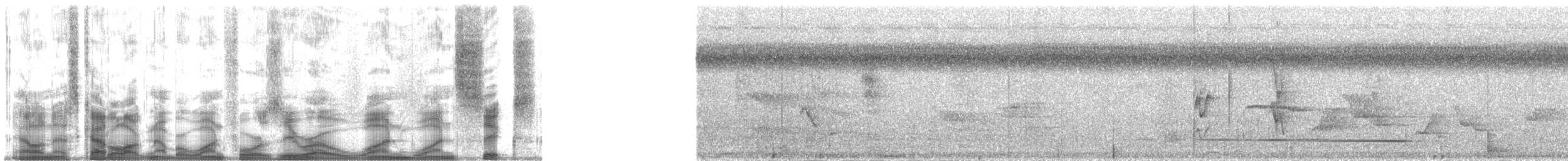 Окулярник каролінський - ML140116