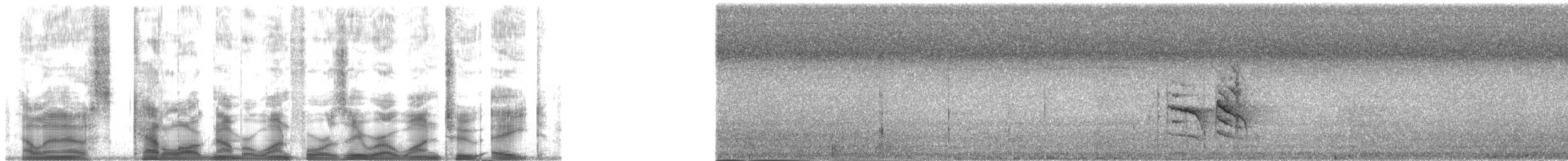 holub angaurský - ML140128