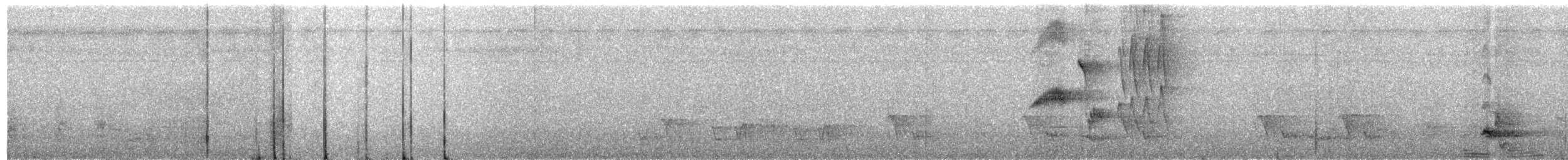 Polynesian Starling - ML140132581