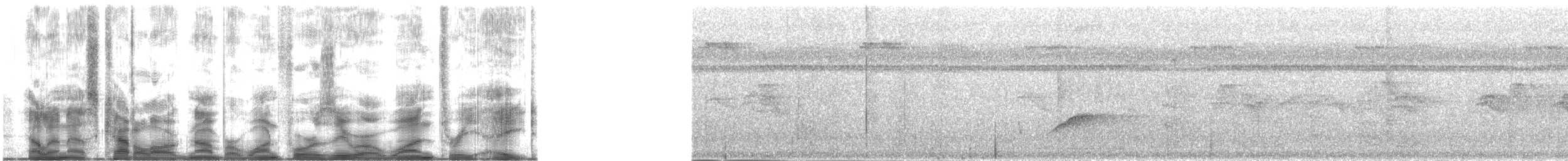 Siffleur des Palau - ML140138