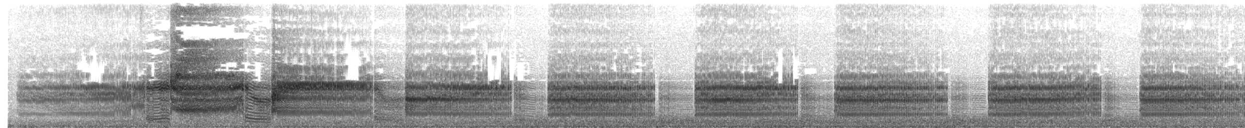 ledňáček pacifický - ML140138601