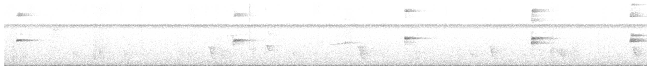 Buff-banded Rail - ML140147151