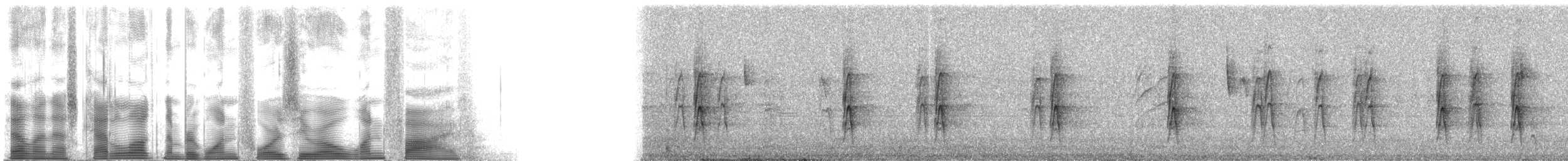 American Robin - ML14015