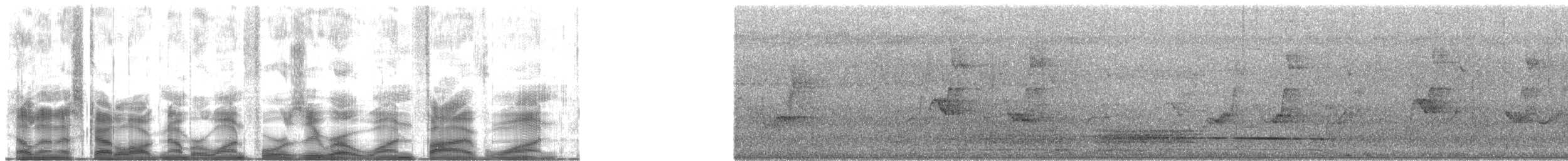 mikronesiahonningeter - ML140151