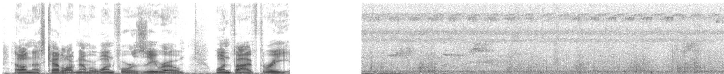 Сивка бурокрила - ML140153