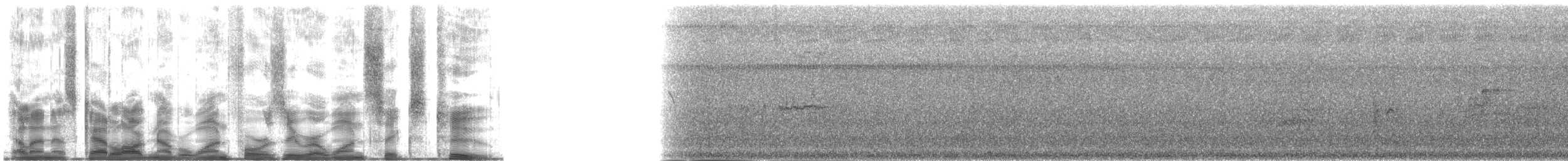 muskatnonne (nisoria gr.) - ML140162