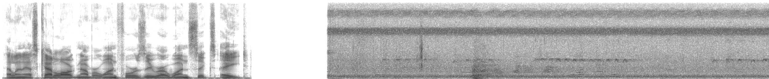 חרמשון קטן (סיבירי) - ML140168
