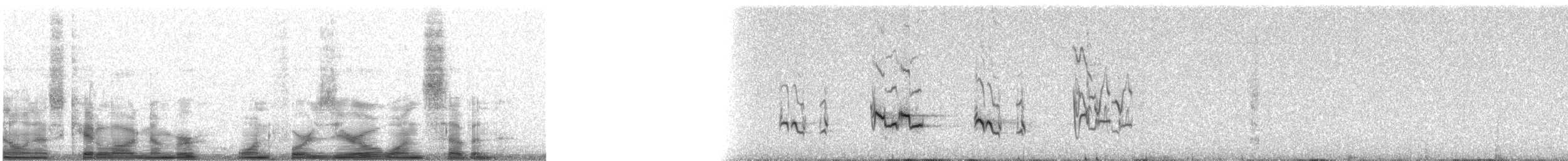 Странствующий дрозд - ML14017