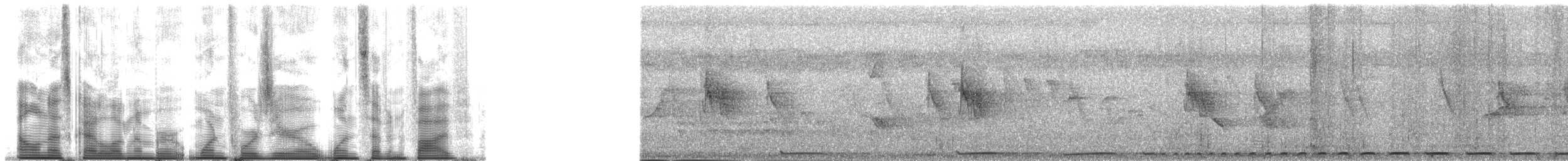 Тілопо маріанський - ML140175