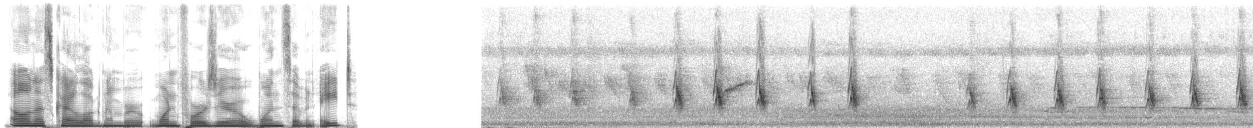 Окулярник золотий - ML140178