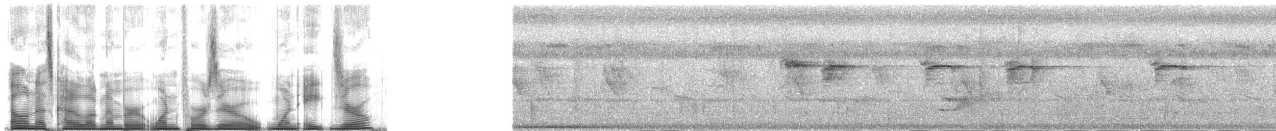 Micronesian Myzomela - ML140180