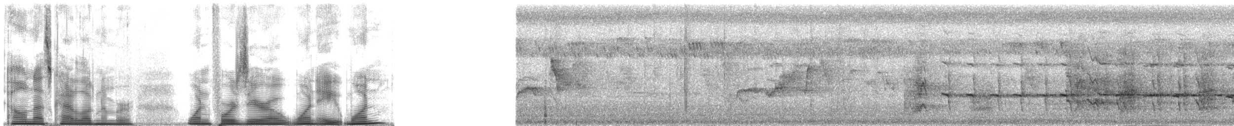 Альціон маріанський - ML140181