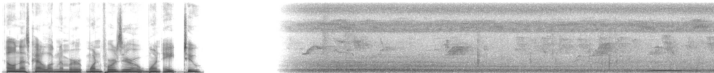 Тілопо маріанський - ML140182