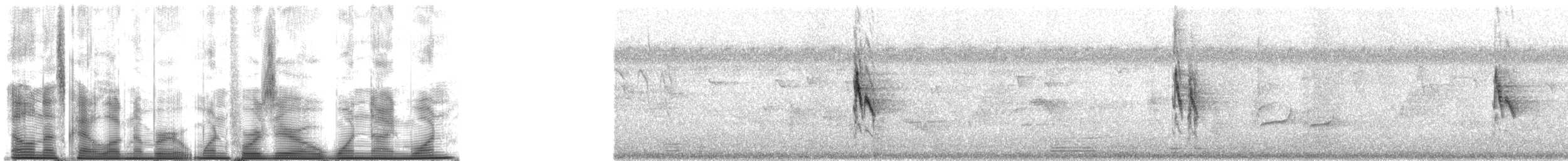 Окулярник говіркий - ML140191