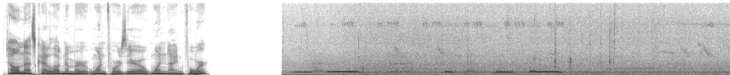 Горлиця сулуйська - ML140194