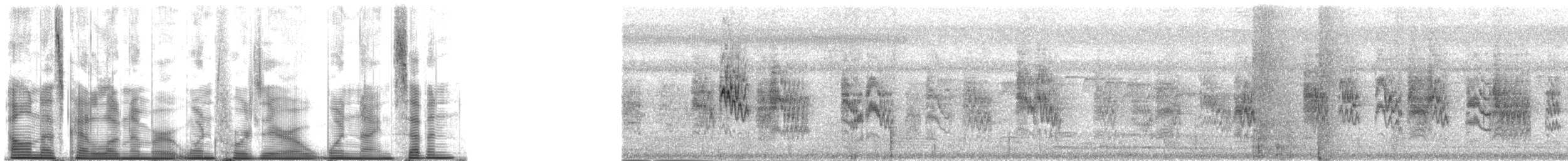 Rota White-eye - ML140197