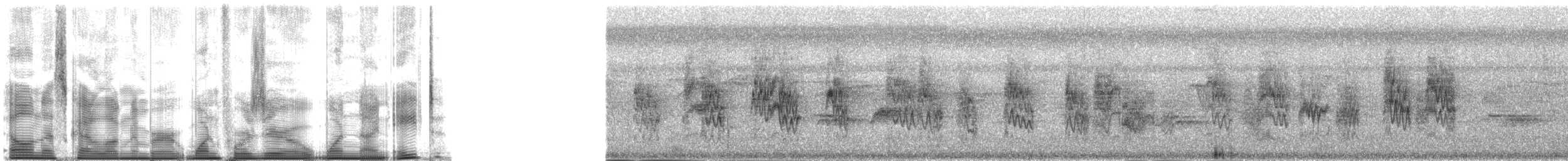 Rota White-eye - ML140198